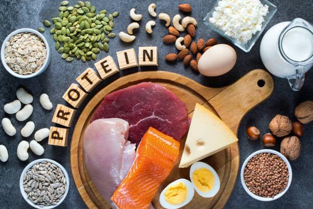 A high protein diet for weight loss plan